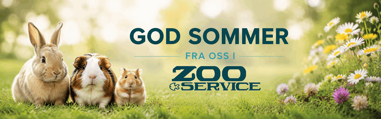 god sommer