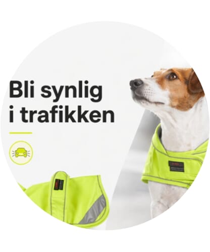 Bli sett i trafikk test.jpg
