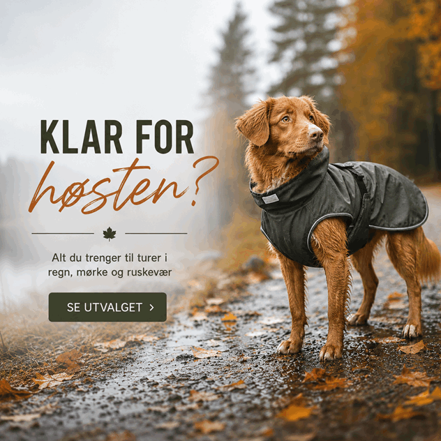 Høstbilde Zooservice.png