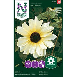 Solsikke, Ice Cream, Nelson Garden