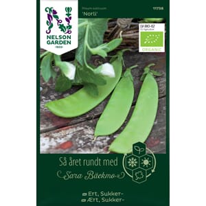 Ert, Sukker-, Norli, Organic, Nelson Garden