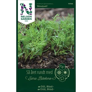 Dill, Blad-, Bouquet, Nelson Garden