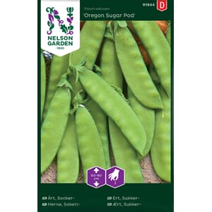 Ert, Sukker-, Oregon Sugar Pod, Nelson Garden