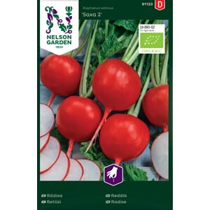 Reddik, Rund, Saxa 2, Organic, Nelson Garden