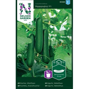 Agurk, Slange-, mini, Veksthus,Passandra, Nelson Garden