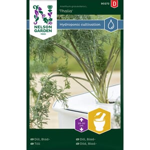 Dill, Blad-, Thalia, Harvy, Nelson Garden