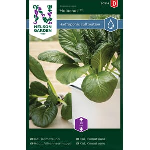 Kål, Komatsuna-, Malachai F1, Harvy, Nelson Garden