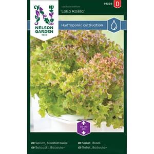 Salat, Blad-, Lollo Rossa, Harvy, Nelson Garden