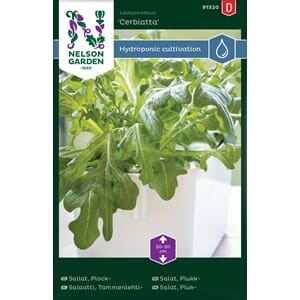 Salat, Plukk-, Cerbiatta, Harvy, Nelson Garden