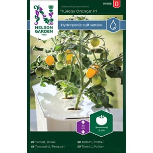 Tomat, Potte-, Twiggy Orange F1, Harvy, Nelson Garden