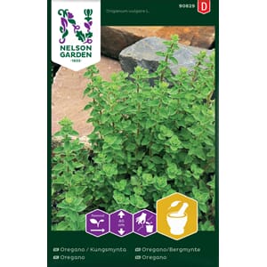 Oregano, Bergmynte, Nelson Garden