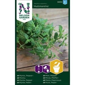Mynte, Pepper, Multimenta, Nelson Garden