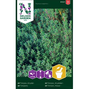 Timian, Krydder, Nelson Garden