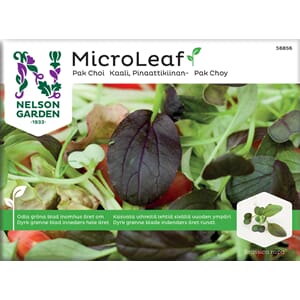 Micro Leaf Pak Choi Nelson Garden