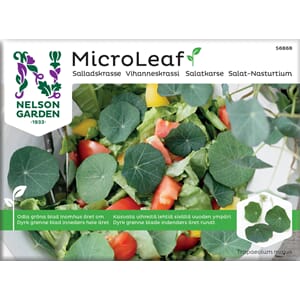 Micro Leaf Salatkarse Nelson Garden