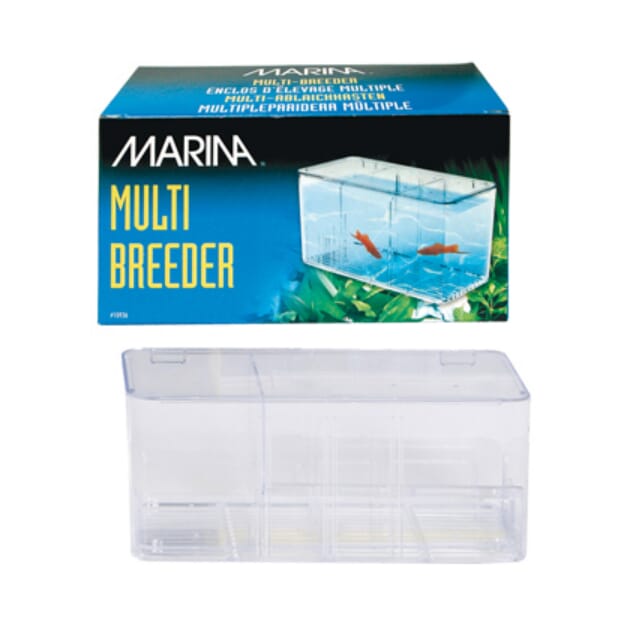 Z006726 A133.0081.jpg