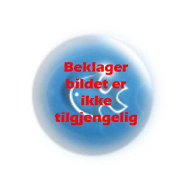 Z003060 Ikkebilde.jpg