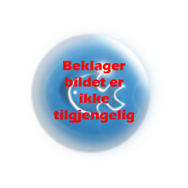 Z000600 ikkebilde.bmp