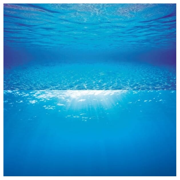 Z027203_Rel Z027203.1.jpg