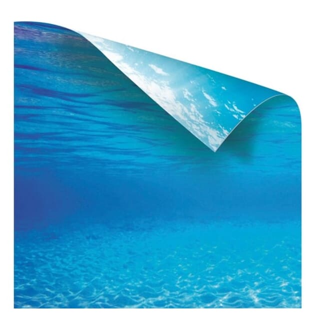 Z027203_Rel Z027203.2.jpg