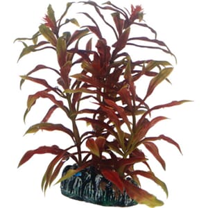 Hobby Nesaea 13cm nr. 51570