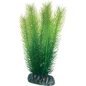 Hobby Mayaca 16cm nr. 51585