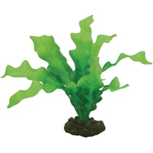 Hobby Echinodrus 20cm nr. 41504