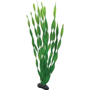 Hobby Vallisneria 46cm nr. 41509
