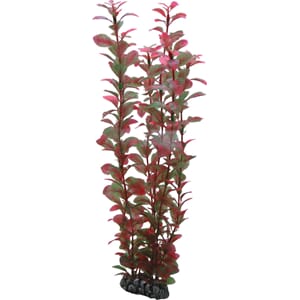 Hobby Ludwigia 34cm nr. 41520