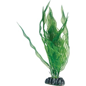 Hobby Aponogeton 25cm nr. 51578