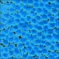 Z008457_Rel Z008457.1.jpg