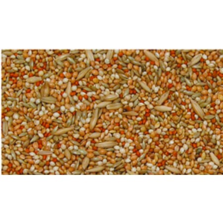 Z008533 A400.0005.jpg