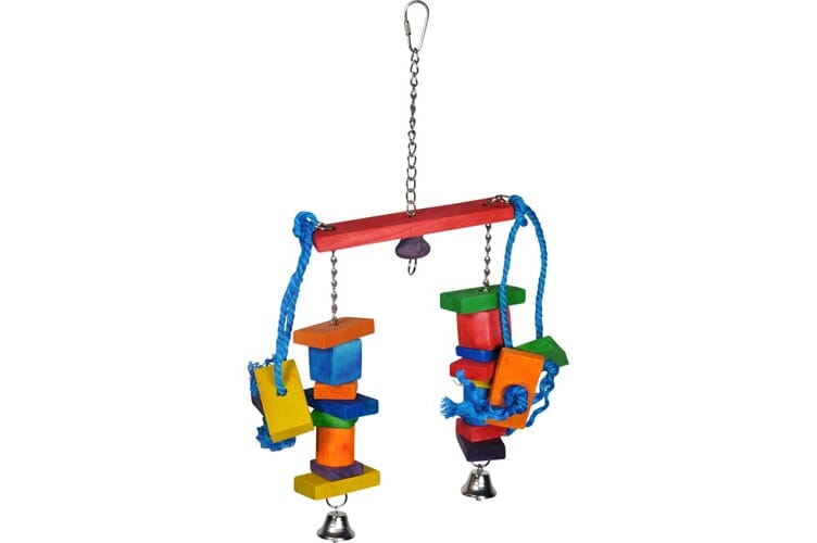 Undulat & småfugl leker