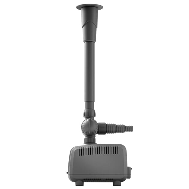 Z076203_Rel Z076203_2.jpg