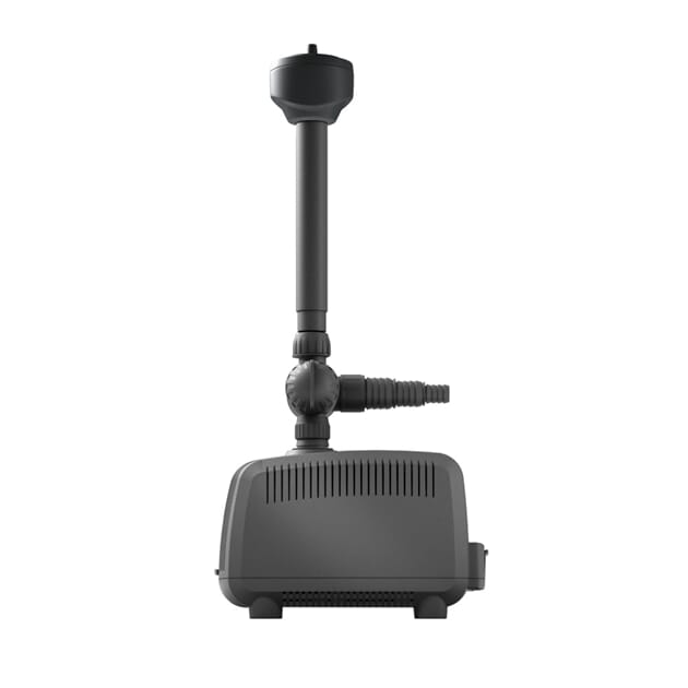 Z076206_Rel Z076205_2.jpg