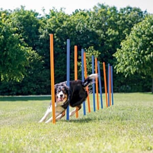 Trixie Agility Slalåm Hinder 12stk 1,15m x D:3,3cm