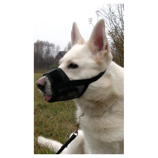 Z011296_Rel Z024676.jpg