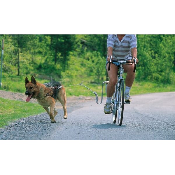 Z001596_Rel Z001596.2.jpg