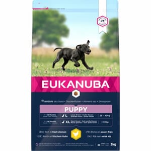 EUKANUBA Puppy Large Breed kylling 3 kg