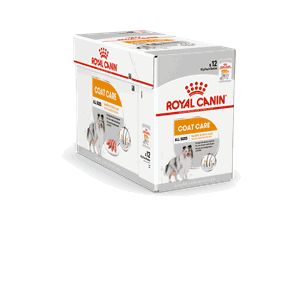 Royal Canin Dog Coat Care 12x85G våtfor