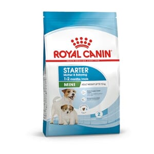 Royal Canin Dog Mini Starter M&B 8kg