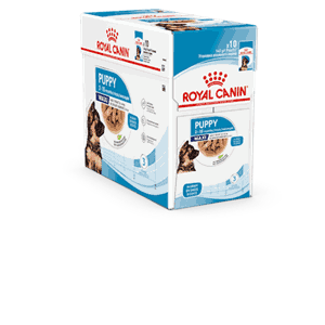 Royal Canin Dog SHN Maxi Puppy våtfor 10x140g
