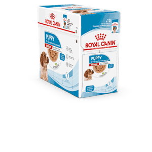 Royal Canin Dog SHN Medium Puppy våtfor 10x140g