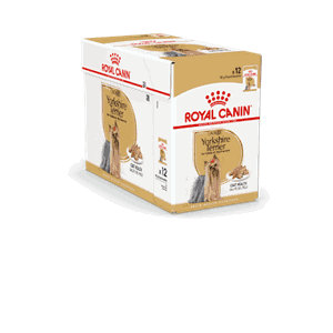 Royal Canin Yorkshire Terrier Adult Wet 12x85gr