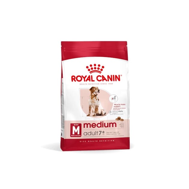 Z062325 Z062325.1.jpg