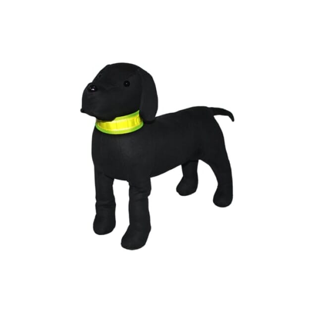 Z003388_Rel Z003388.jpg