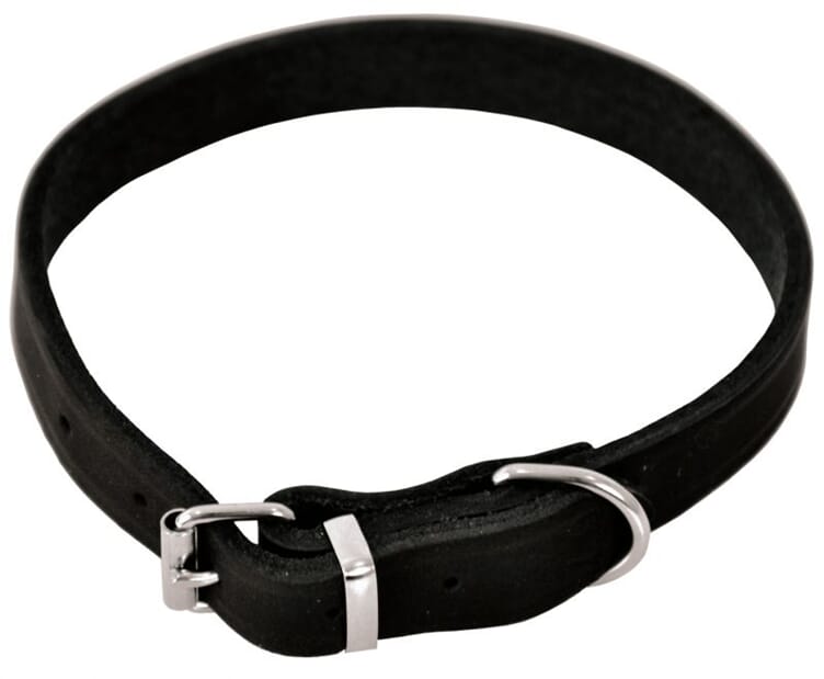 Hundehalsbånd Lær
