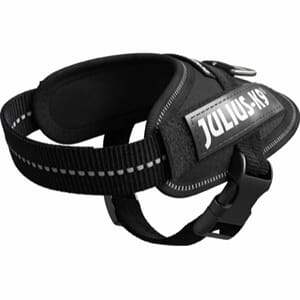 Julius K9 IDC-sele, Baby 1, Svart 0,8-3kg. 29-36cm