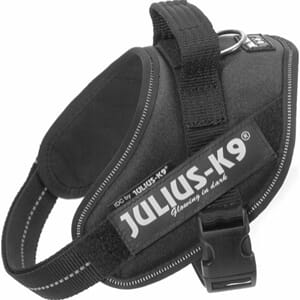 Julius K9 IDC Power S/Mini Svart 49-67cm 7-15kg