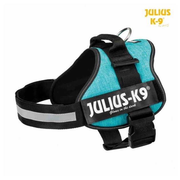 Z094762 Z094762.1.jpg